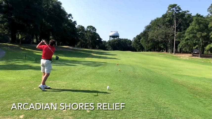 Arcadian Shores Relief
